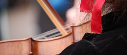 TopPic Fiddle